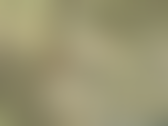 One to watch closely - Council to consider petition and the long term impact of compromising the exc