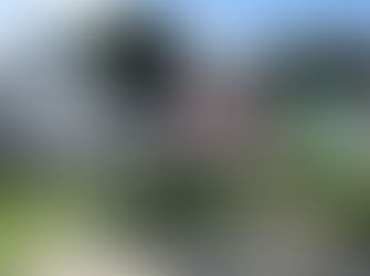 NSW Health still refusing to budge on radiotherapy for the South East