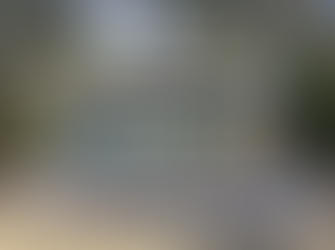 Editorial November 22nd 2019