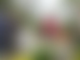 IMB Bank Community Foundation funding welcomes environmental causes