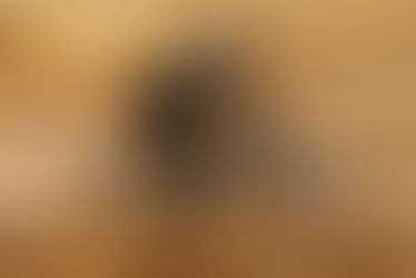 Ride Ready Eurobodalla workshops in May