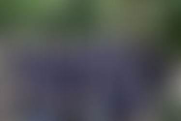 Local leaders collaborating to Regenerate Eurobodalla