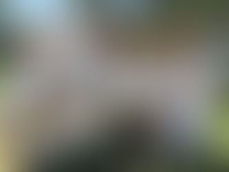 Tuross Head Men’s Bowls