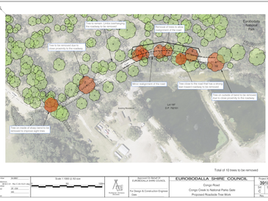 Congo to Protest proposed tree removal on Congo Road 