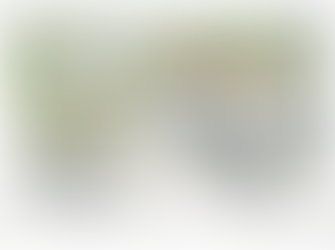 Congo to Protest proposed tree removal on Congo Road