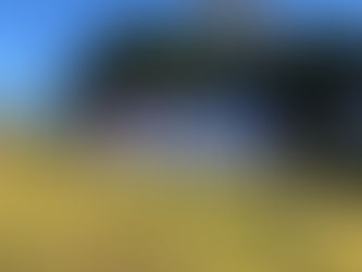 “Got Your Bags?” Asks Moruya Business Chamber