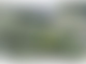 just a slight hiccup in Council's plans to sell the BBay Information Centre and historic cemetery