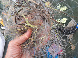 Look after your tackle