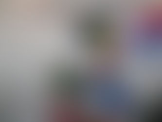 Malua Bay Women's Bowls Report.