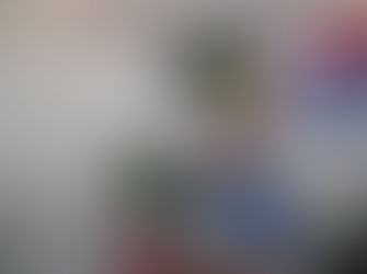 Malua Bay Women's Bowls Report.