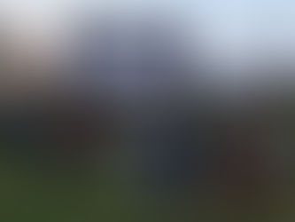 Tomakin Outdoor Cinema a great success