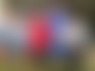 THFC donate to Moruya Special Nippers