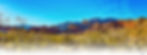 mojave desert