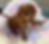 20260330_155830218_iOS