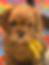 20260311_215923315_iOS