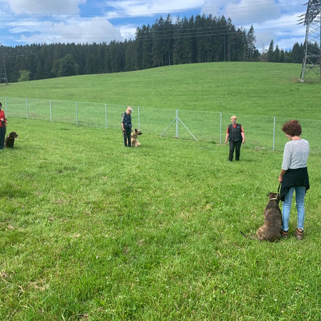 ETWAS ERZIEHUNG GEFÄLLIG?