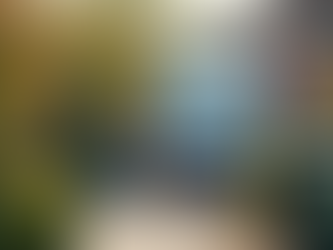 Clutterbug Expands Services with Eco-Friendly Moving and Junk Removal in HRM