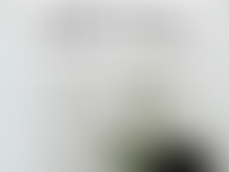 Get Your Home Holiday-Ready with Clutterbug Cleaning and Organizing Tips