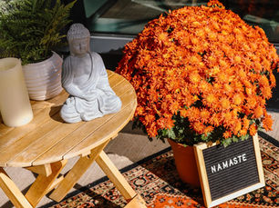 Creating a Community of Wellness: The Heart Behind Our Spring Expo in Halifax