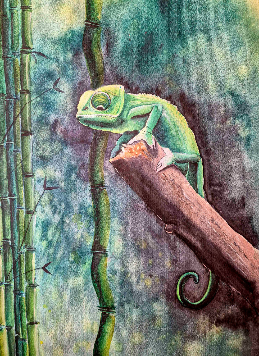 Caméléon 2024 2_WEB