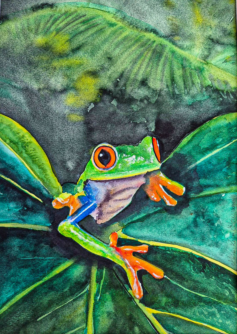 Grenouille - 2025_WEB