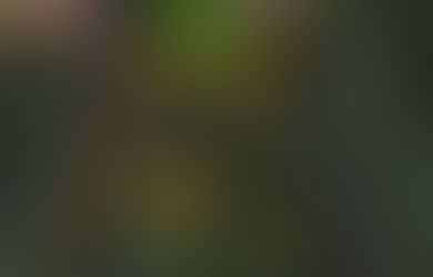 4 Ways to Create Predictable Deer Travel on Your Whitetail Property