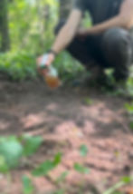 spraying scent on a mock scrape