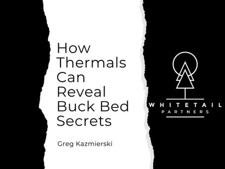 How Thermals Can Reveal Buck Bed Secrets