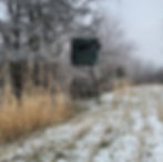 Blind Not Screened In