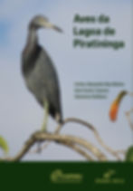 Lagoa_Piratininga.jpeg