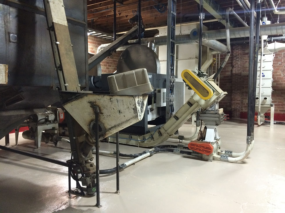 Cleaning Plant