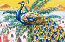 Pavão misterioso, pássaro formoso.Tudo é mistério...