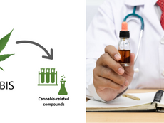 CANNABIS Research : A Growing Industry