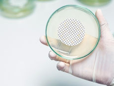 Johnson Sterile filters