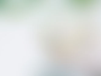 Johnson Sterile filters