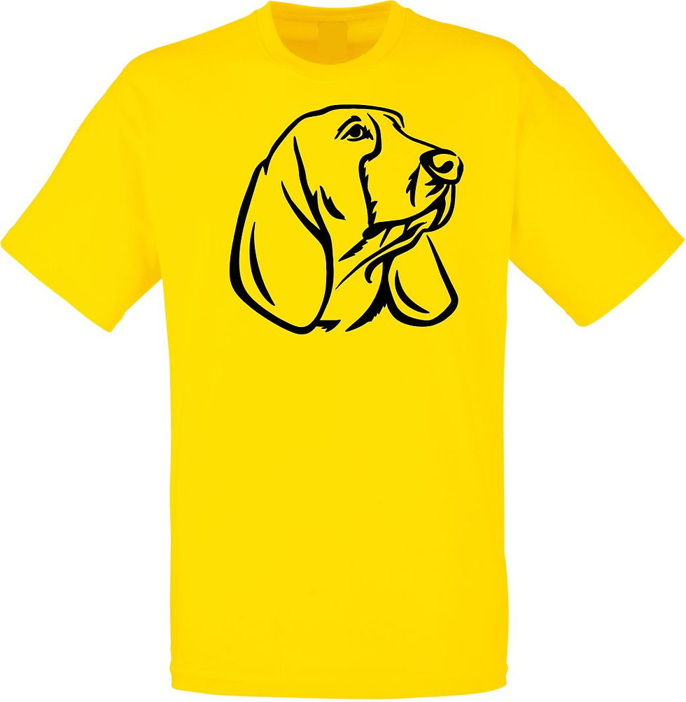 Thumbnail: Basset Hound head