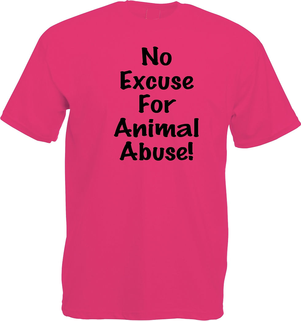 Thumbnail: No Excuse for Animal Abuse