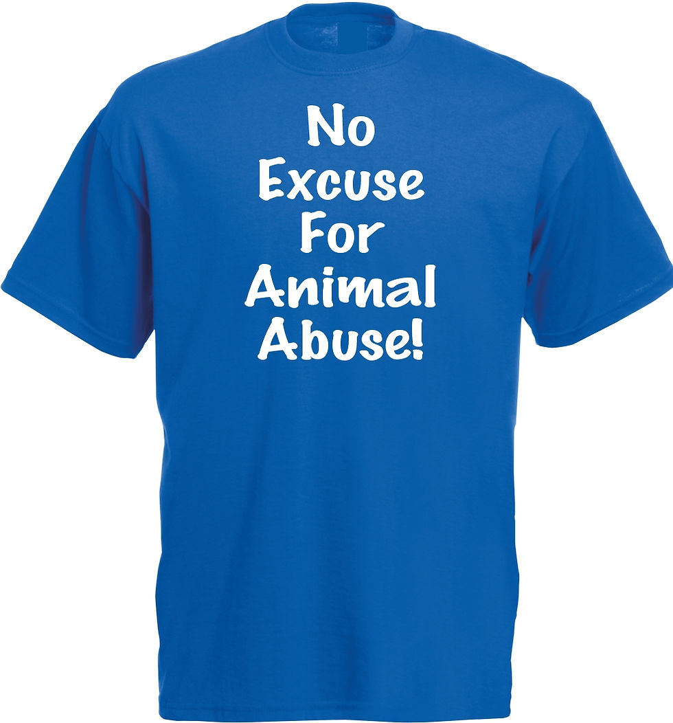 Thumbnail: No Excuse for Animal Abuse