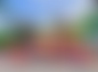 The Burrow Foundation Helps with Summertime Fun!