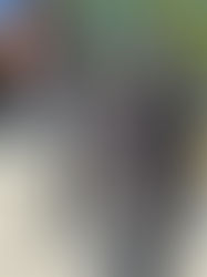 Partnering with 3CDC to Help the Chronically Homeless