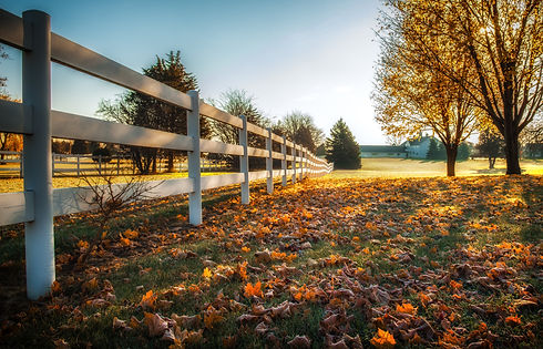 Autumn_Fence_Trees_Grass_Nature_6125x3936.jpg