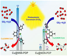 WhatsApp Image 2025-12-24 at 4.04.53 PM.jpeg