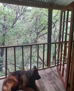 Coming soon- River cabin no1