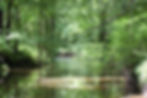 A guided exploration of the Little Shabbakunk Creek