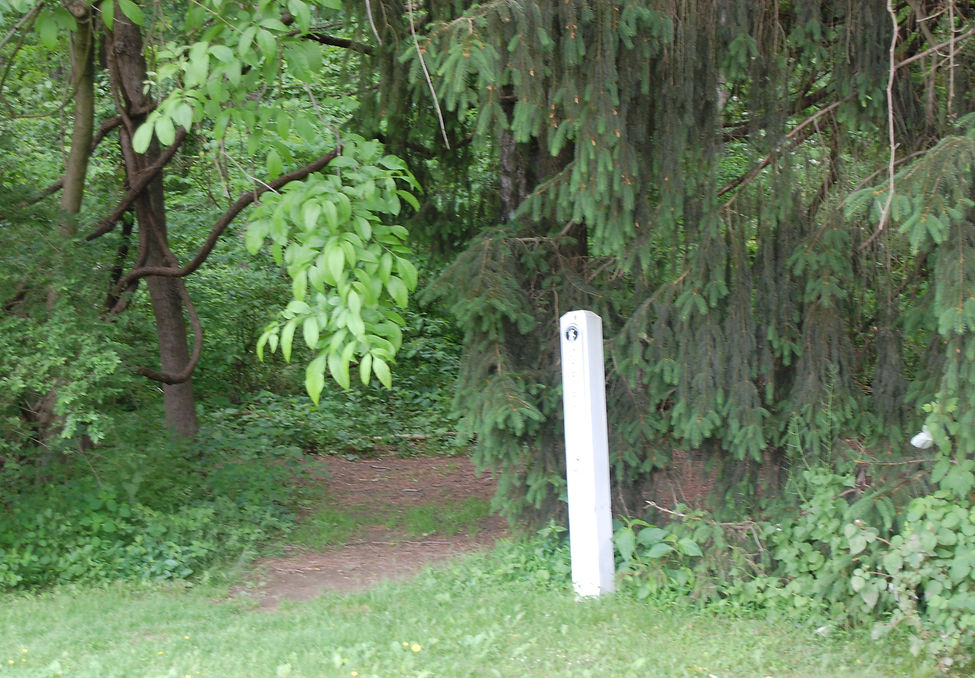 DSC_7265.JPG