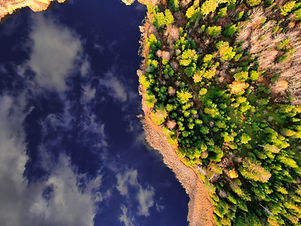 Clear birds-eye view, arial photograph of forrest and water