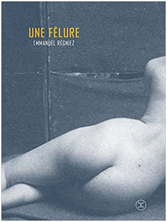 Emmanuel Régniez - Une fêlure