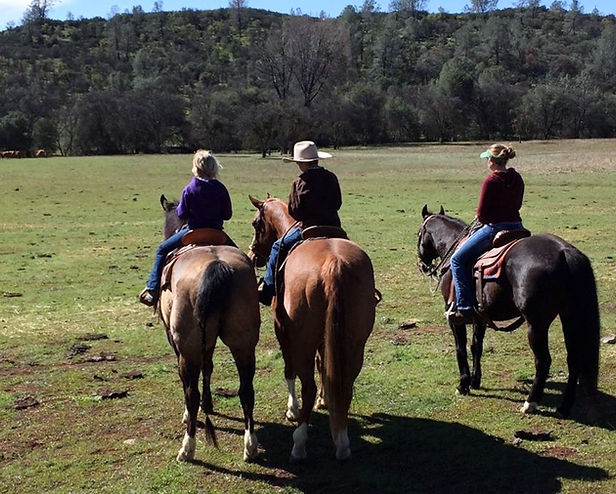 our story campfire meats 3_edited.jpg