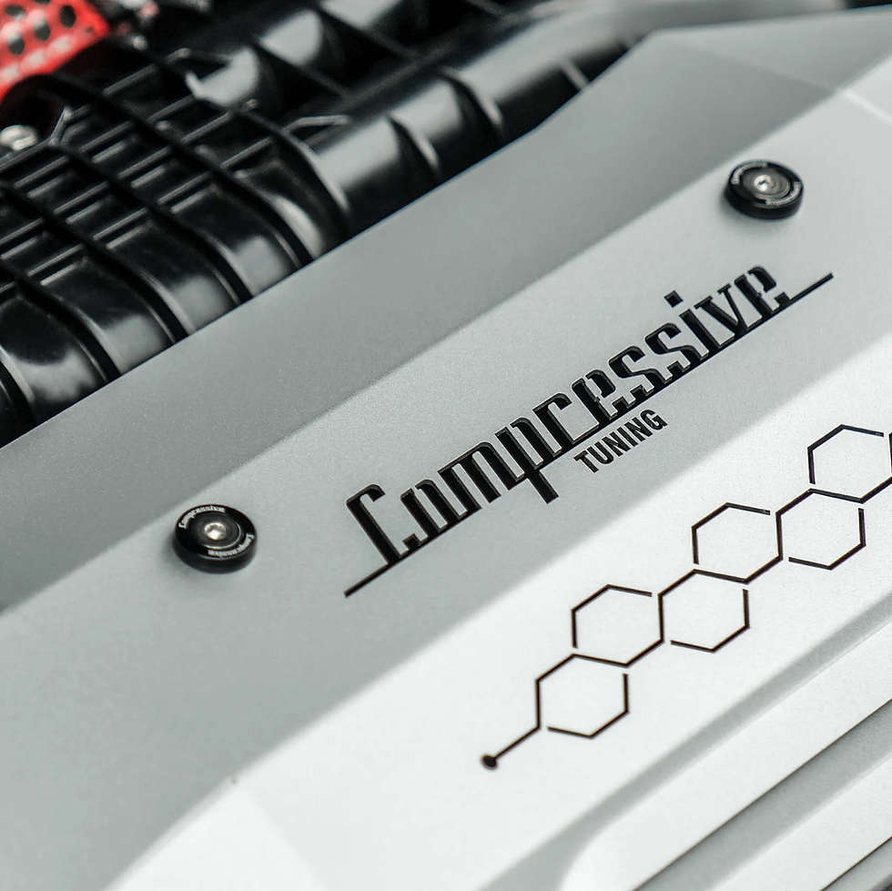 サムネイル： シルバーのエンジンカバーにM6ドレスアップボルト（ブラック）を装着