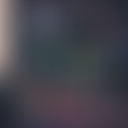 Zimmerpflanzen für den Schatten